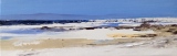Côte californienne 20x50  Huile - Côte Californienne