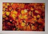 chantalmorel - Encre Plexi et photos